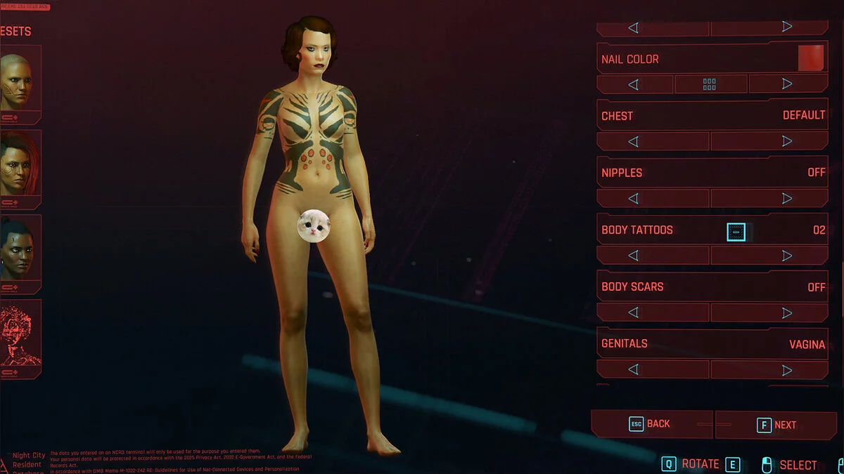 Cyberpunk 2077 — Татуировки мальстрем