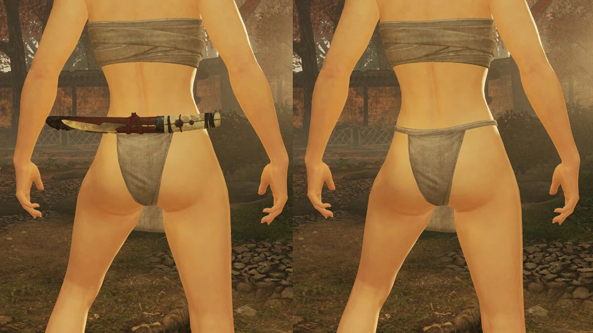 Nioh 2: Complete Edition — Mod Enabler