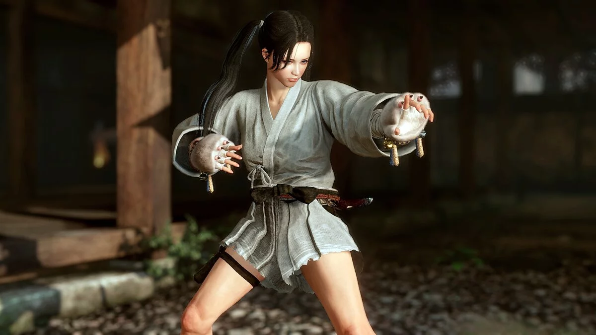 Nioh 2: Complete Edition — Перекраска доспехов одинокого волка