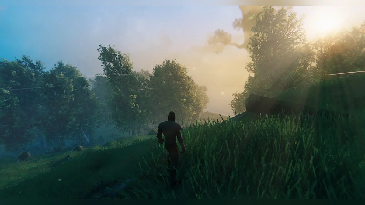 Valheim — Кинематографическая графика