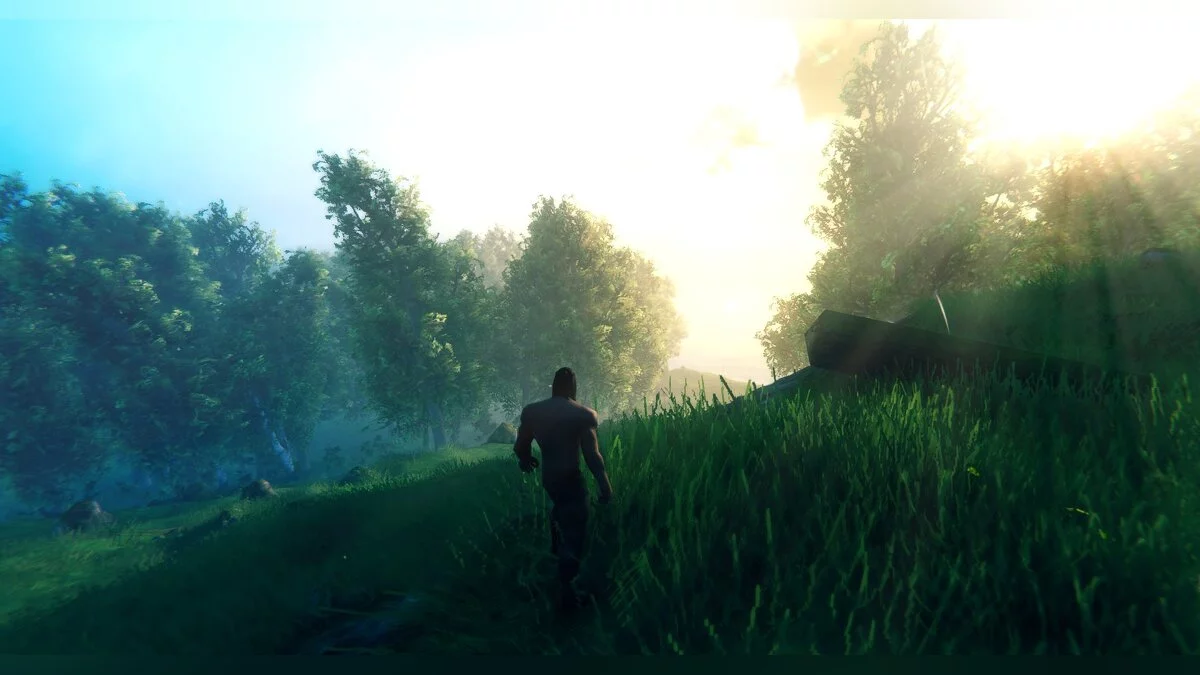 Valheim — Кинематографическая графика