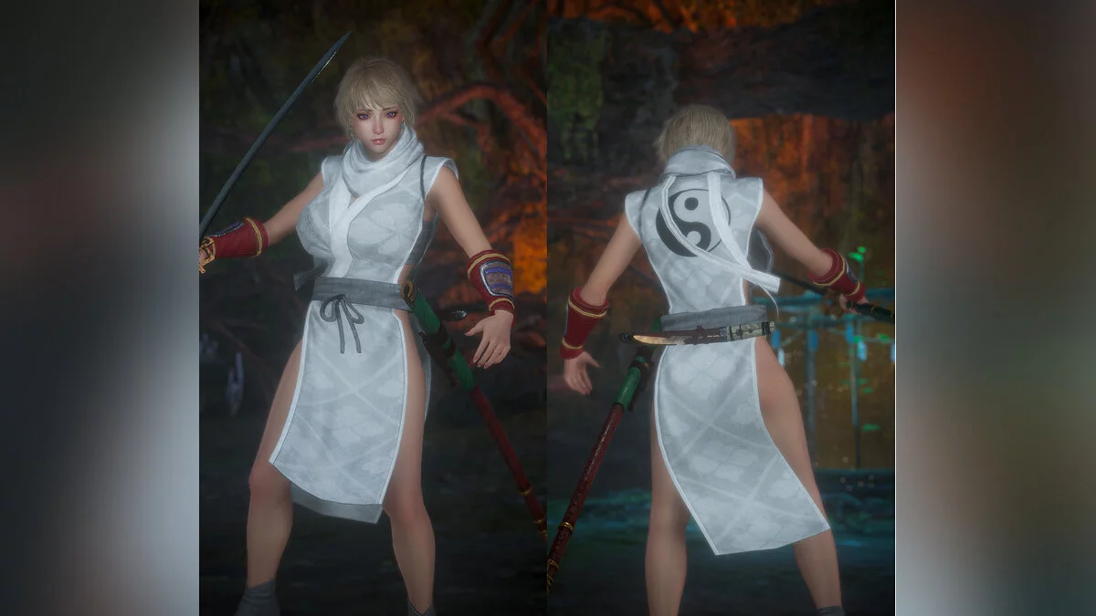 Nioh 2: Complete Edition — Одежда шиноби Онмё