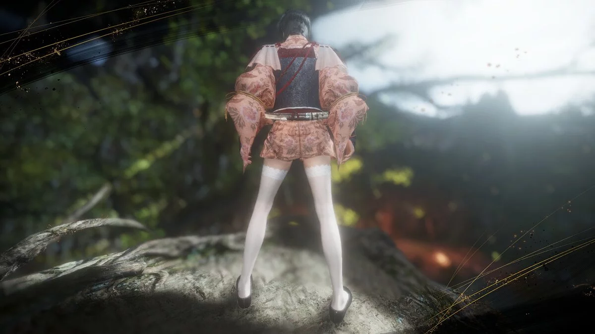 Nioh 2: Complete Edition — Женские чулки