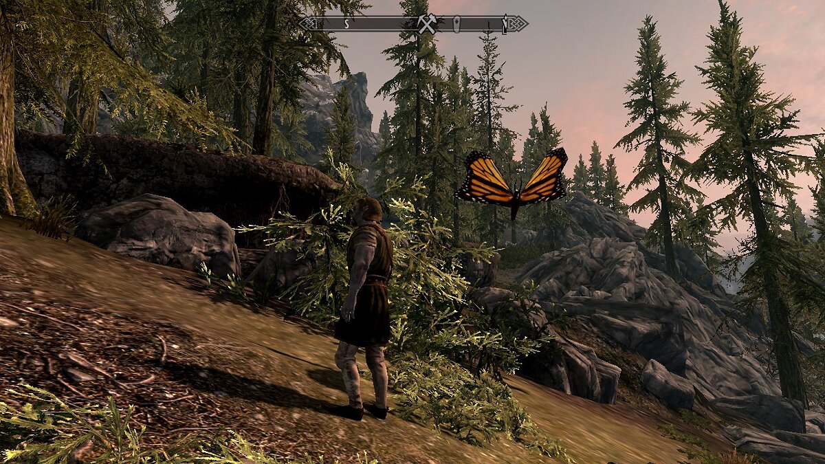 The Elder Scrolls 5: Skyrim Legendary Edition — Большие бабочки