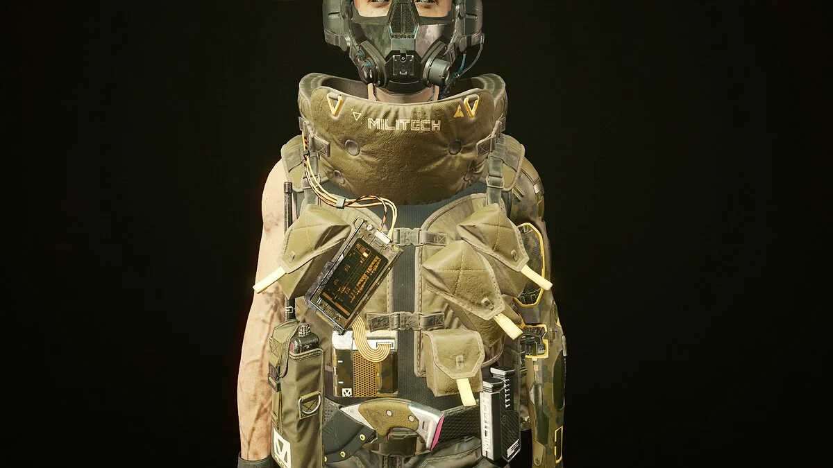 Cyberpunk 2077 — Тактическая экипировка