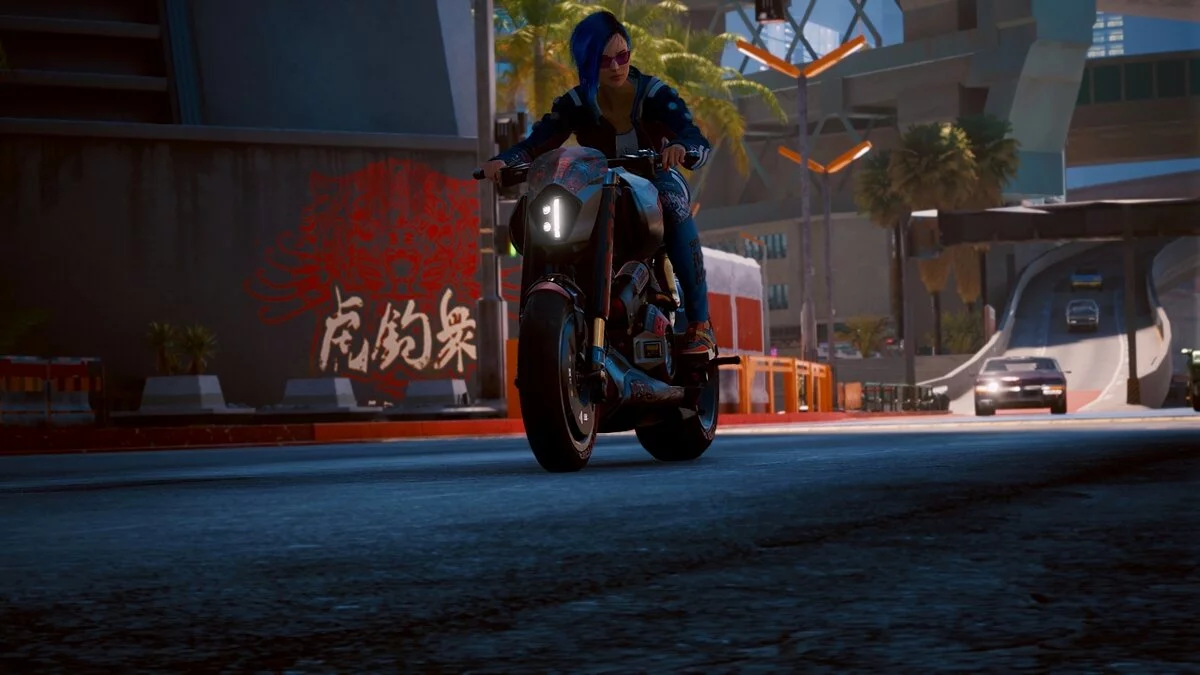 Cyberpunk 2077 — Невидимый головной убор