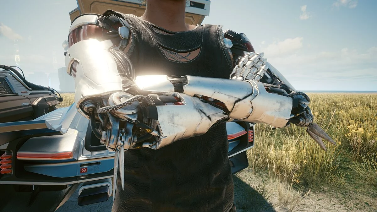 Cyberpunk 2077 — Серебряные био-руки