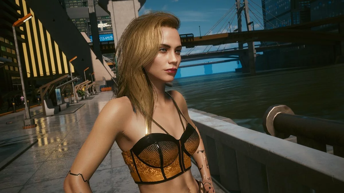 Cyberpunk 2077 — Кара Делевинь - пресет для Ви