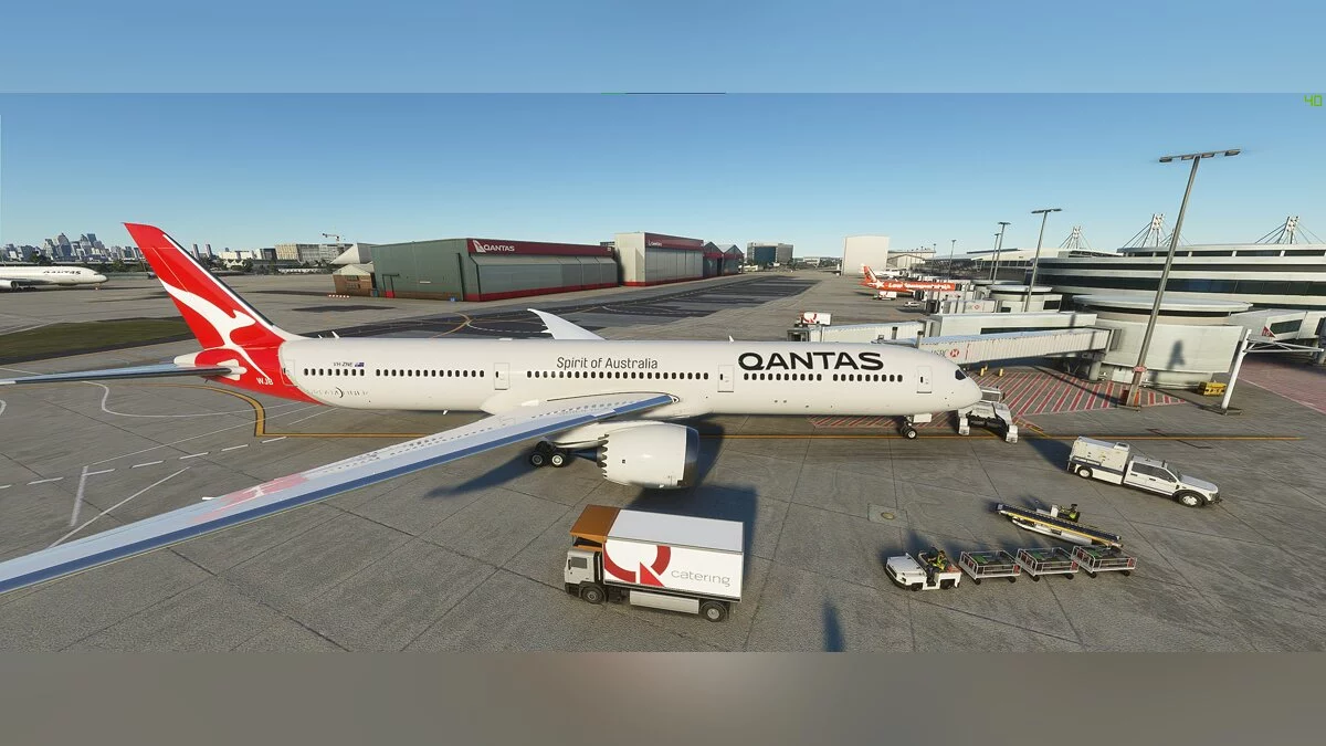 Microsoft Flight Simulator — Логотип компании Qantas
