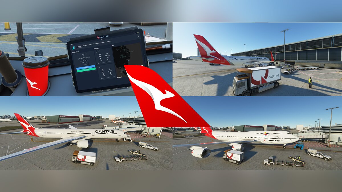 Microsoft Flight Simulator — Логотип компании Qantas