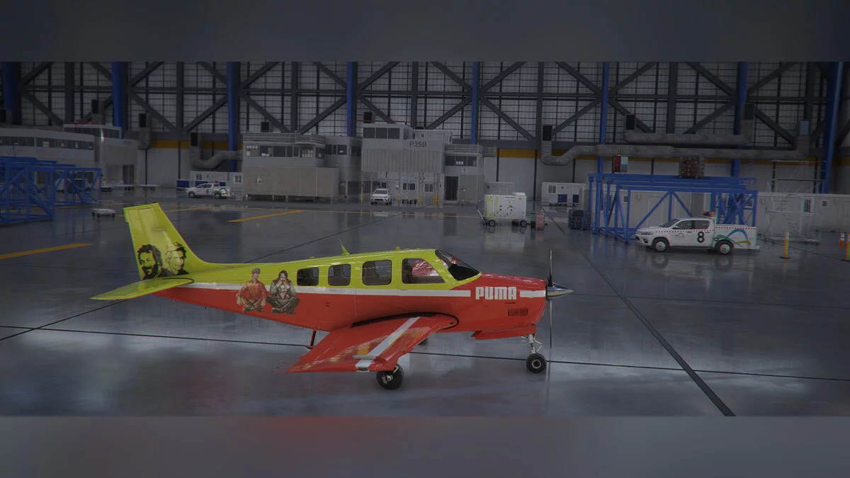 Microsoft Flight Simulator — Раскраска «Бен и Кид» для самолета Bonanza G36