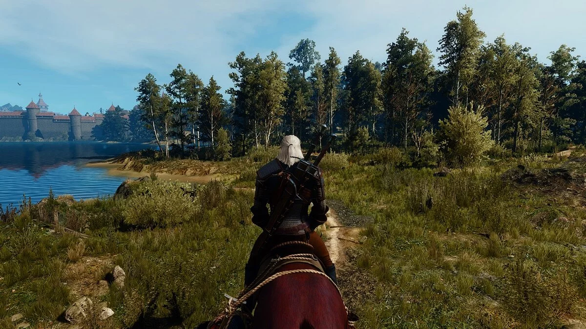 The Witcher 3: Wild Hunt - Complete Edition — Реалистичное изменение цвета