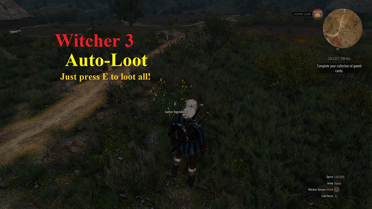The Witcher 3: Wild Hunt — Автолут