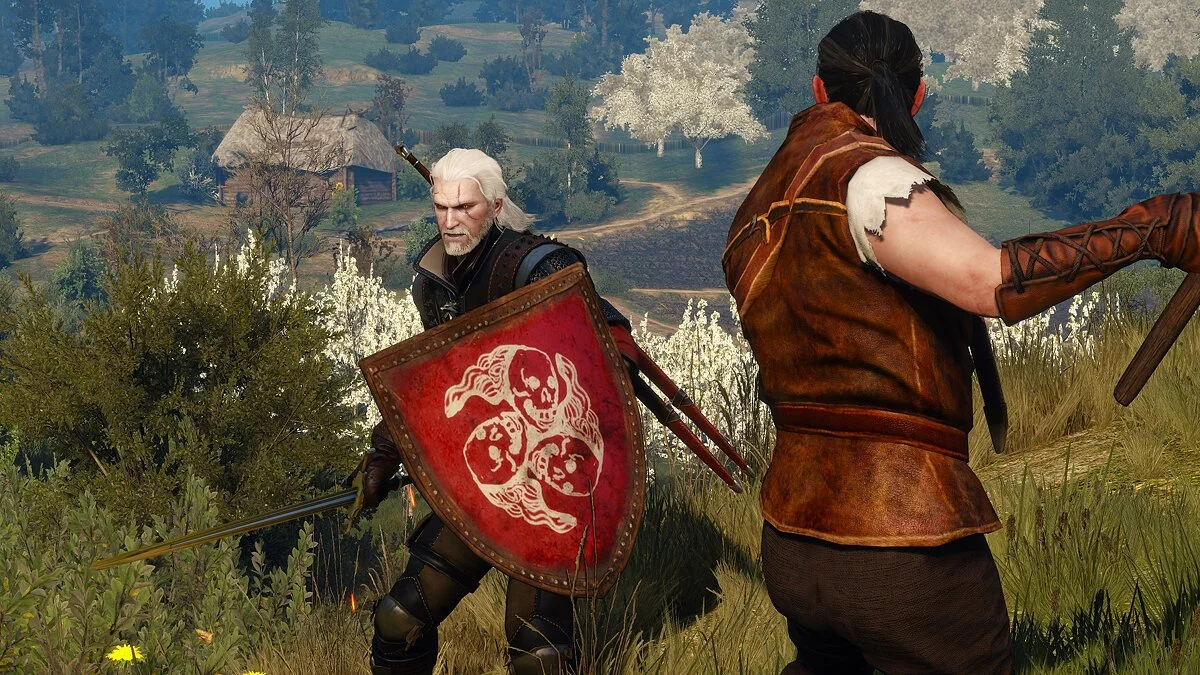 The Witcher 3: Wild Hunt — Щиты