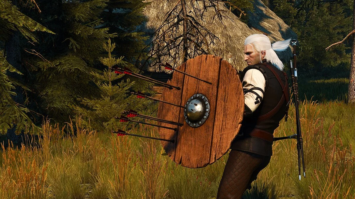 The Witcher 3: Wild Hunt — Щиты