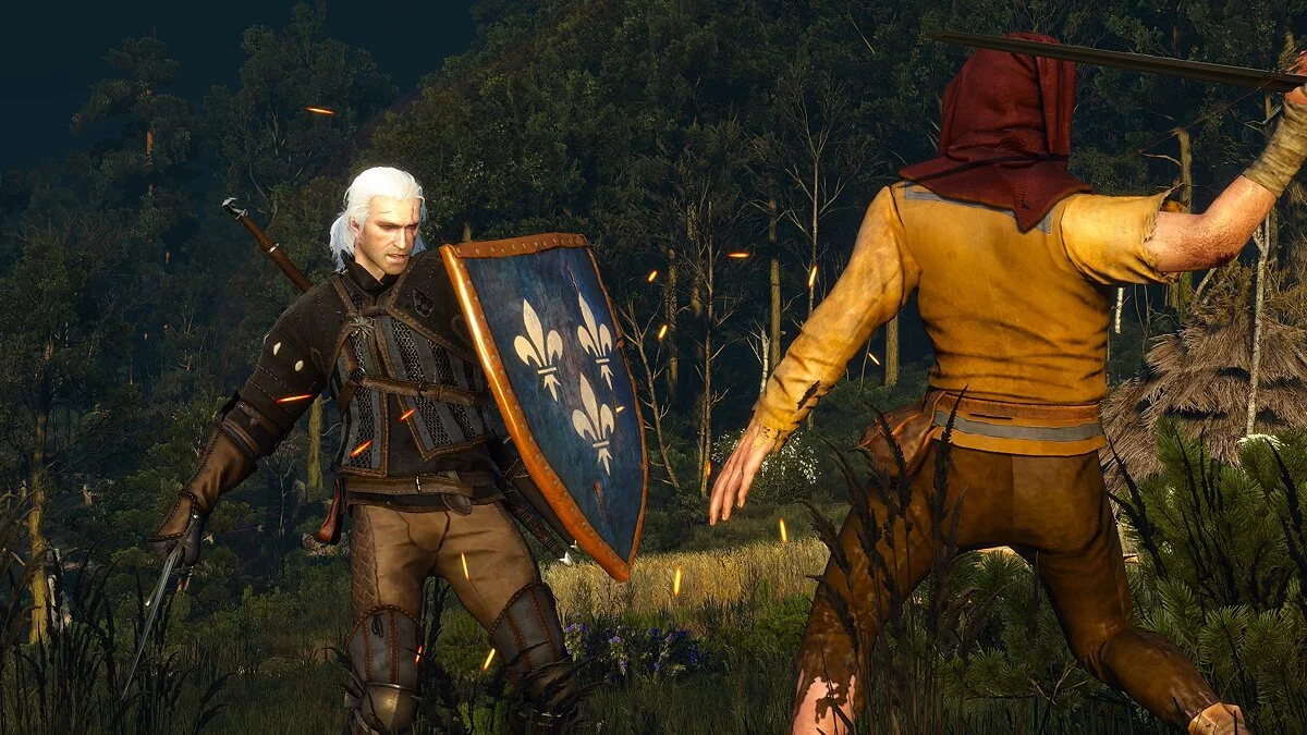 The Witcher 3: Wild Hunt — Щиты