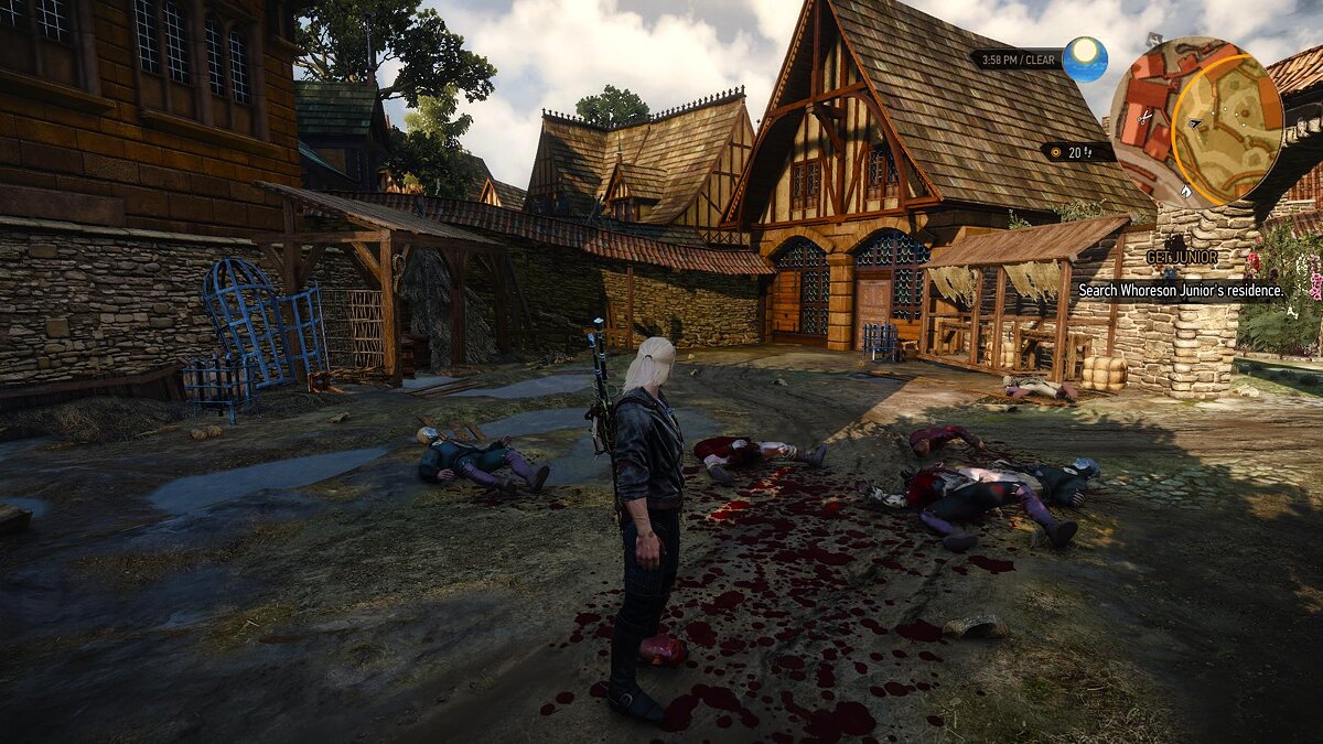 The witcher 3 brutal blood фото 25