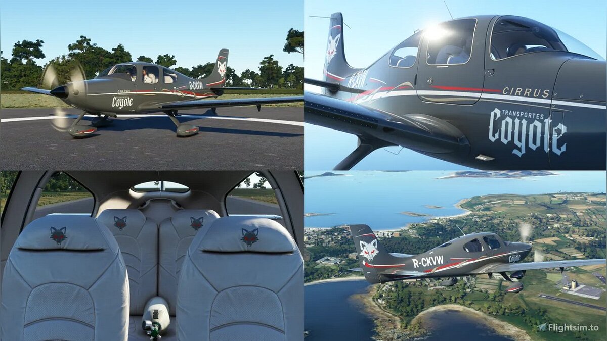 Microsoft Flight Simulator — Набор раскрасок Skypark