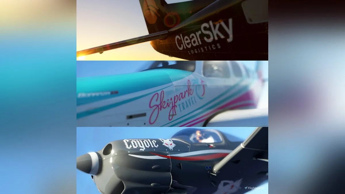 Microsoft Flight Simulator — Набор раскрасок Skypark - стандартное издание
