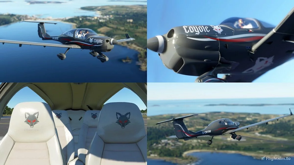 Microsoft Flight Simulator — Набор раскрасок Skypark - стандартное издание