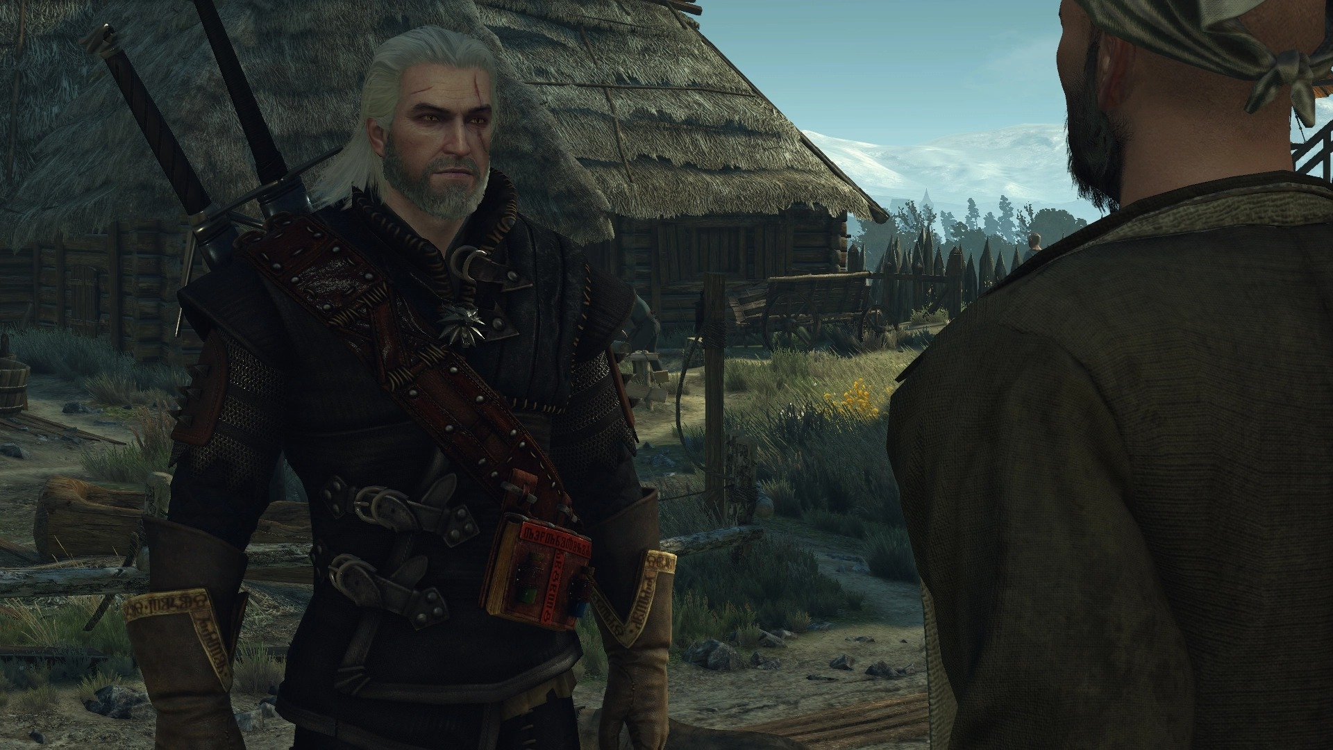 The witcher 3 witcher gear levels фото 21