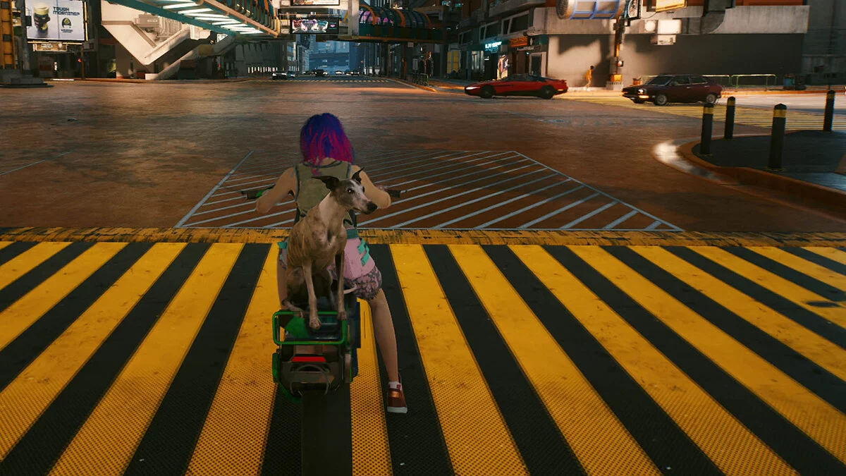 Cyberpunk 2077 — Собака Руперт