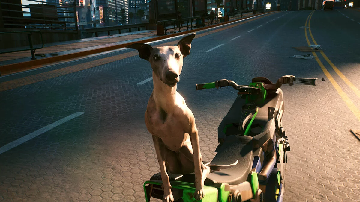 Cyberpunk 2077 — Собака Руперт