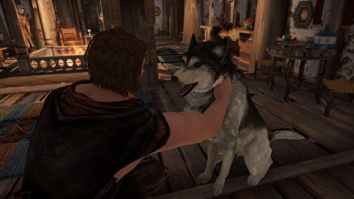 Elder Scrolls 5: Skyrim Special Edition — Возможность погладить собаку