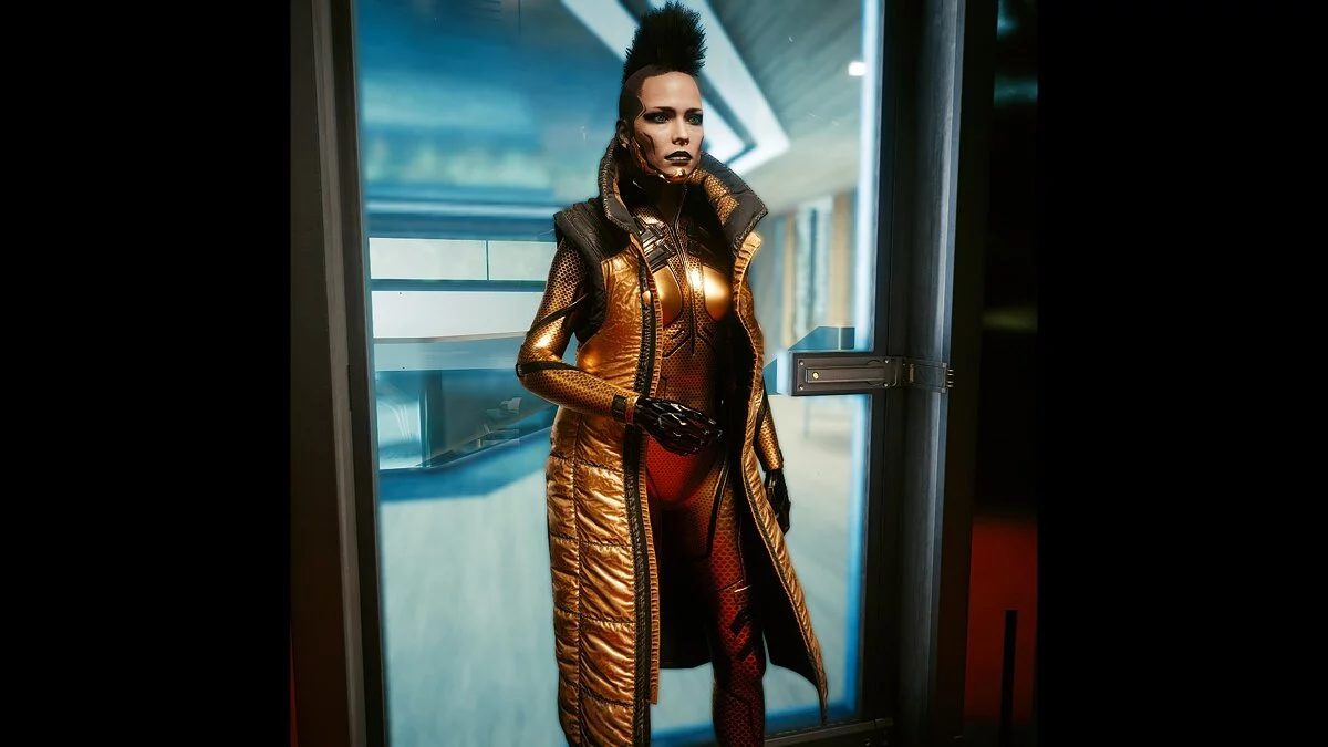 Cyberpunk 2077 — Пальто Maman