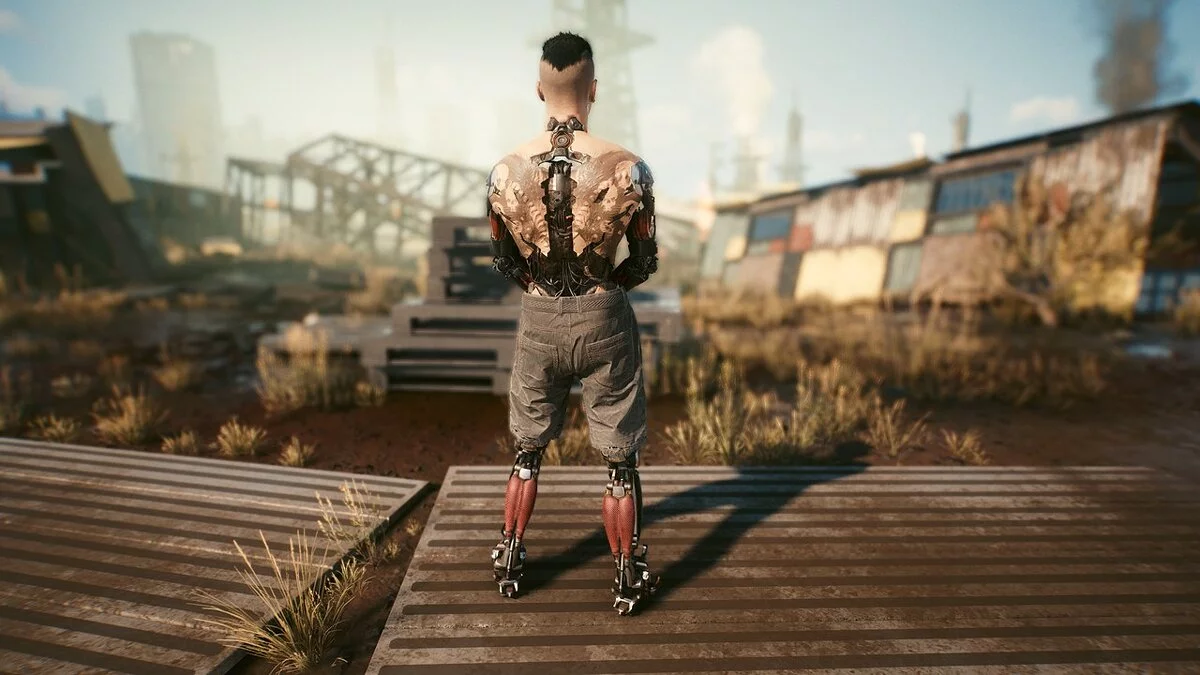 Cyberpunk 2077 — Кибернетический Ви