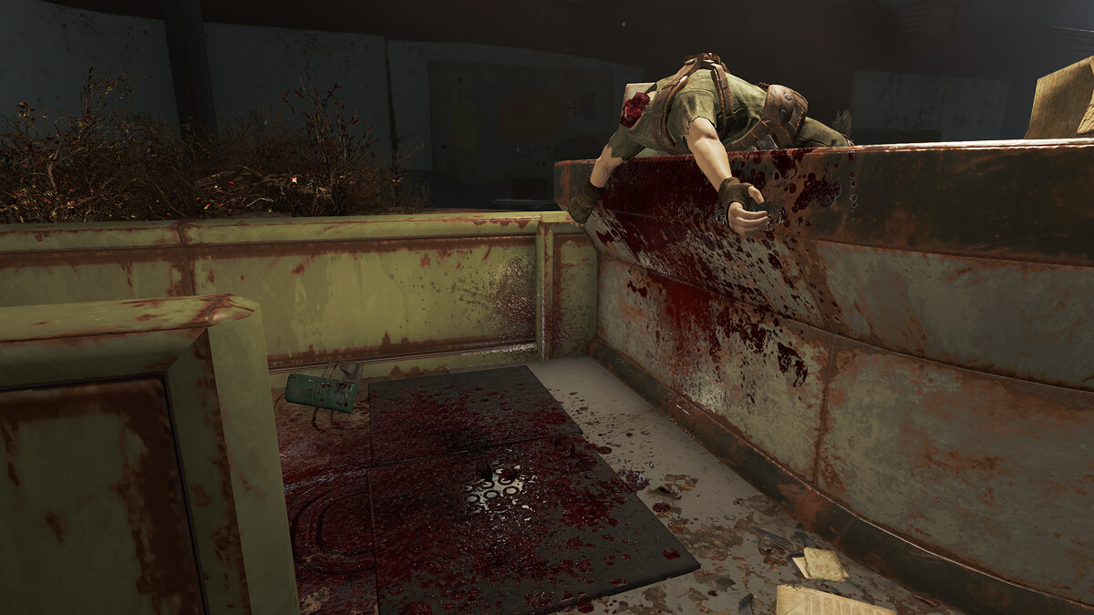 Fallout 4 кровь фото 12