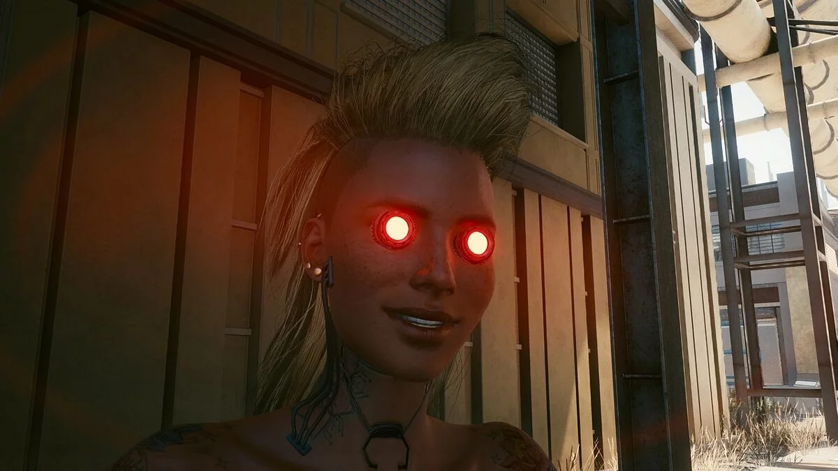 Cyberpunk 2077 — Киберпрограммы для лица