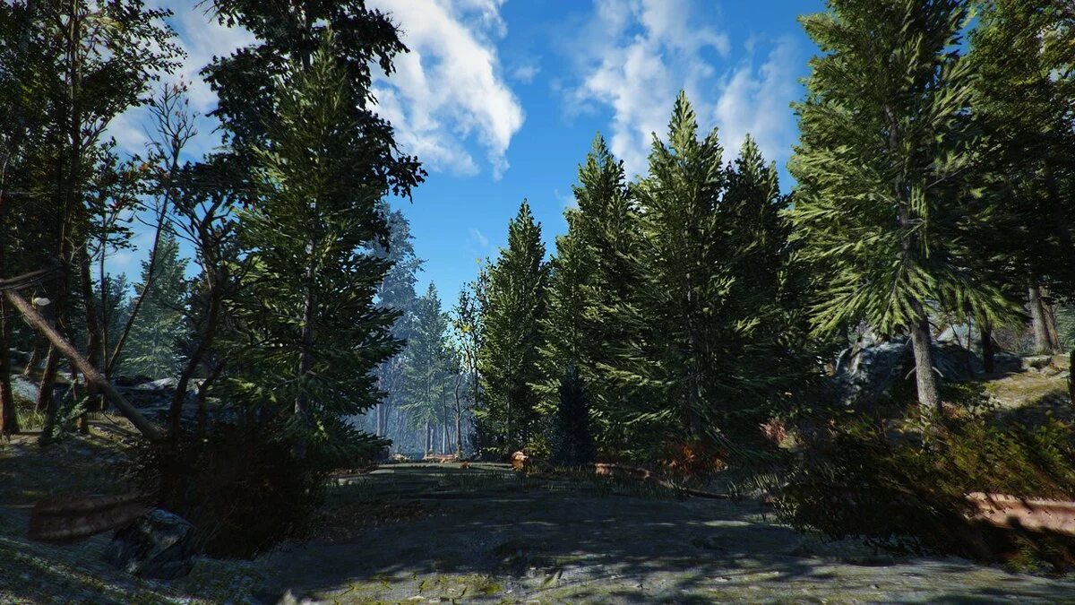 Fallout 4: Game of the Year Edition — Улучшение ландшафта