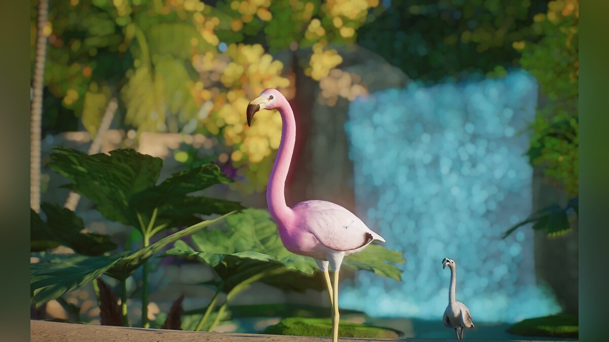 Planet Zoo — Новый вид - Андский фламинго