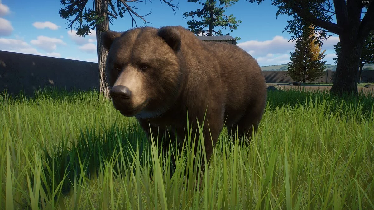 Planet Zoo — Улучшенный гризли