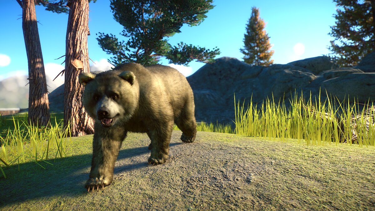 Planet Zoo — Реконструкция гималайского бурого медведя