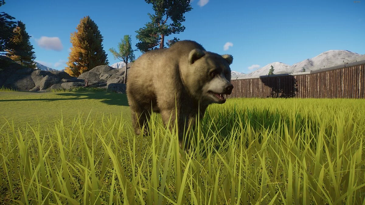 Planet Zoo — Реконструкция гималайского бурого медведя