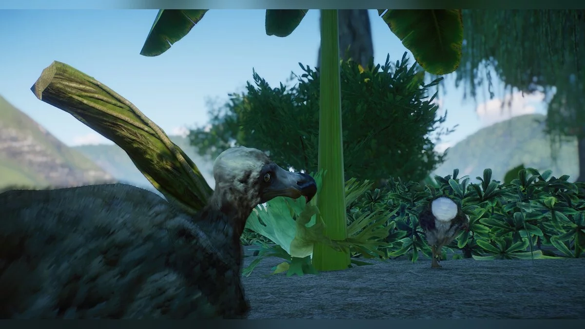 Planet Zoo — Новый вид - маврикийский серый додо