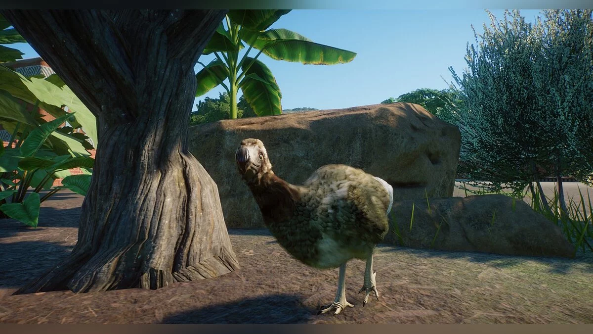 Planet Zoo — Новый вид - маврикийский серый додо