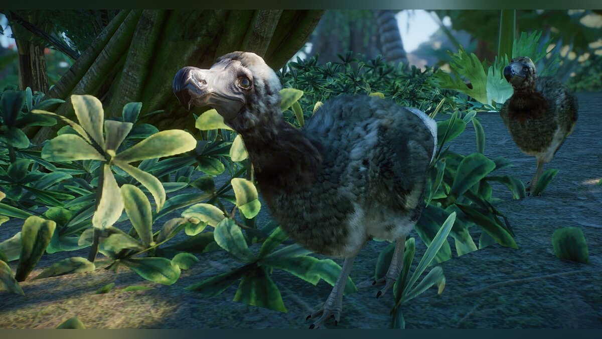 Planet Zoo — Новый вид - маврикийский серый додо