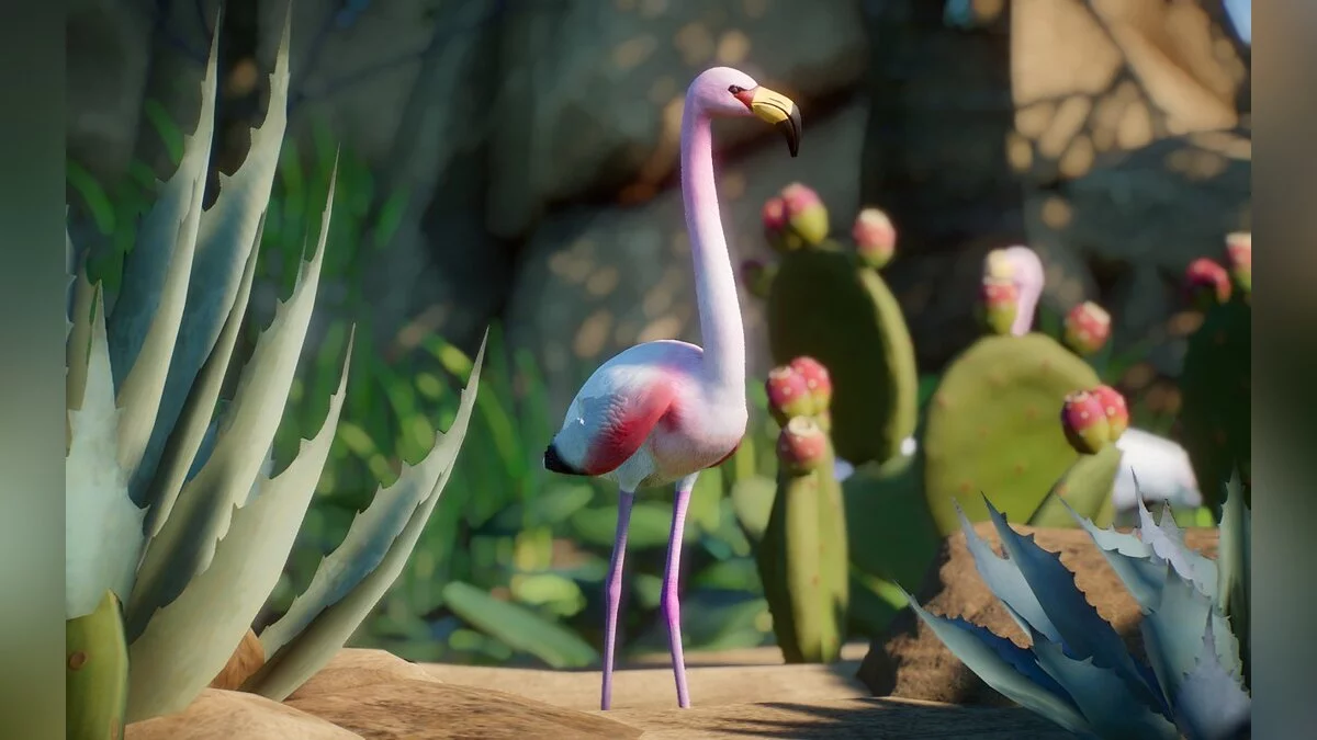 Planet Zoo — Новые виды - фламинго Джеймса