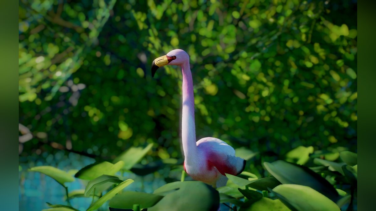 Planet Zoo — Новые виды - фламинго Джеймса