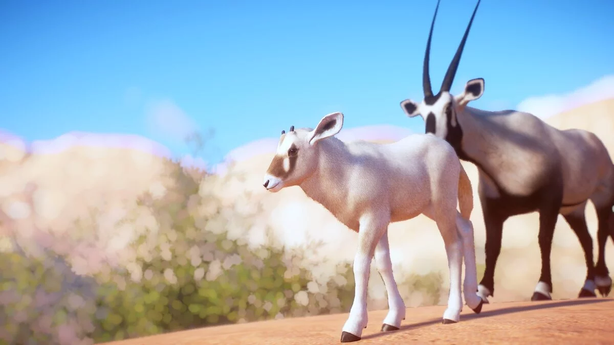 Planet Zoo — Новый вид - арабский орикс