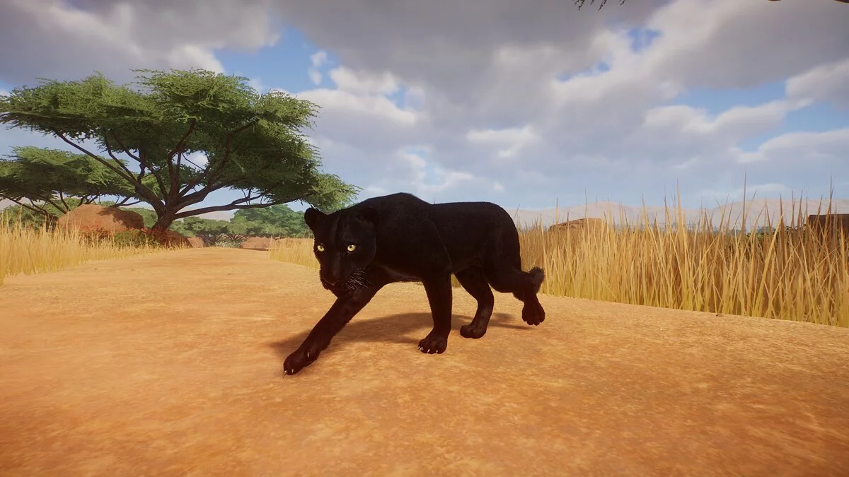 Planet Zoo — Африканский леопард - новый вид