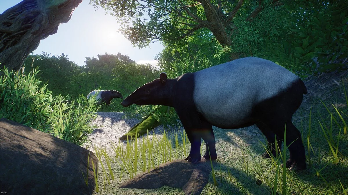 Planet Zoo — Малайский тапир