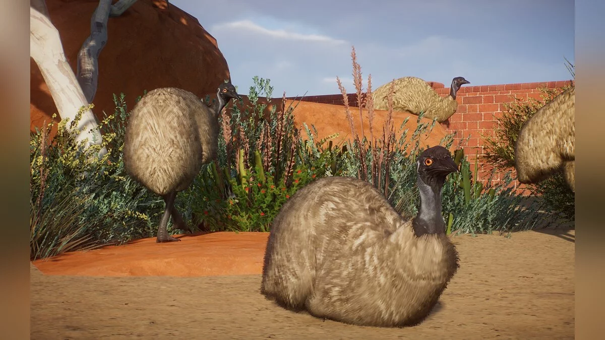 Planet Zoo — Новые виды - Эму