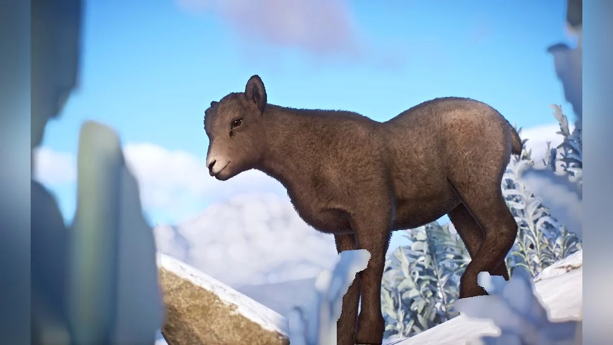 Planet Zoo — Новый вид - снежный баран