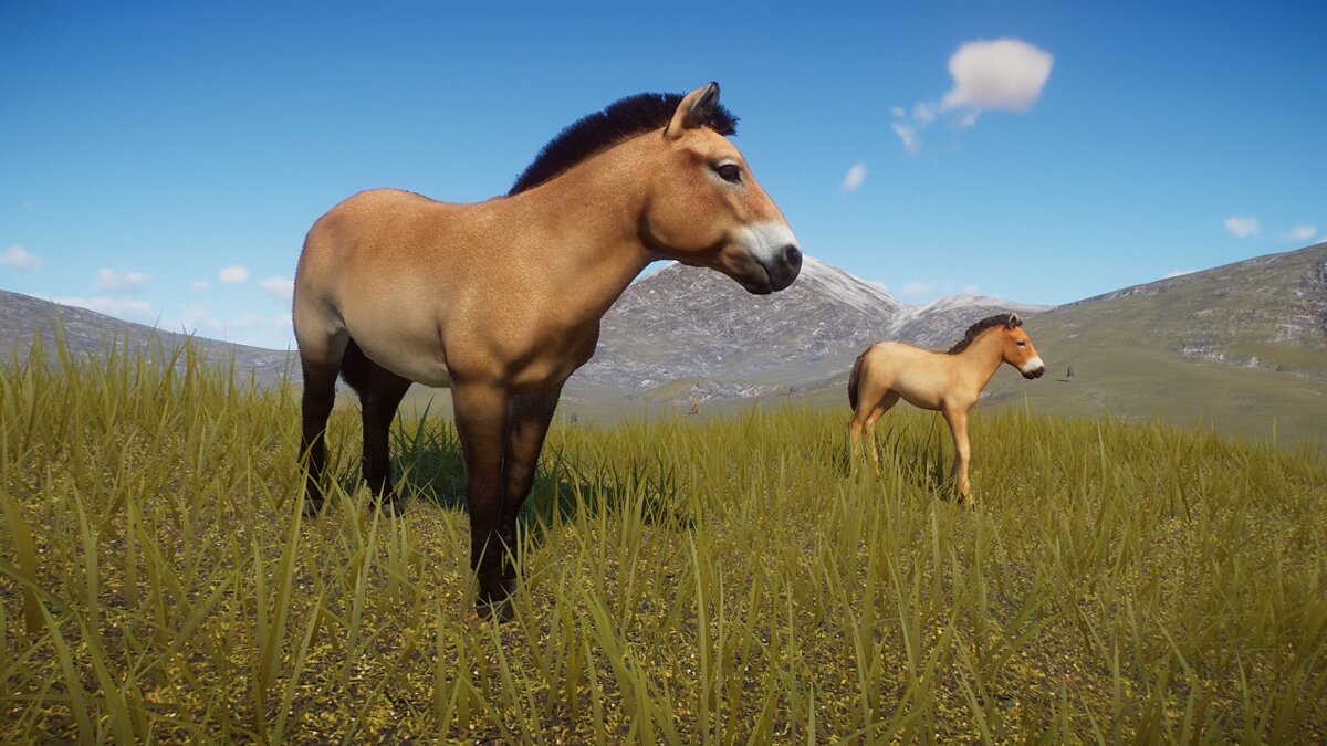 Planet Zoo — Ремейк лошади Пржевальского