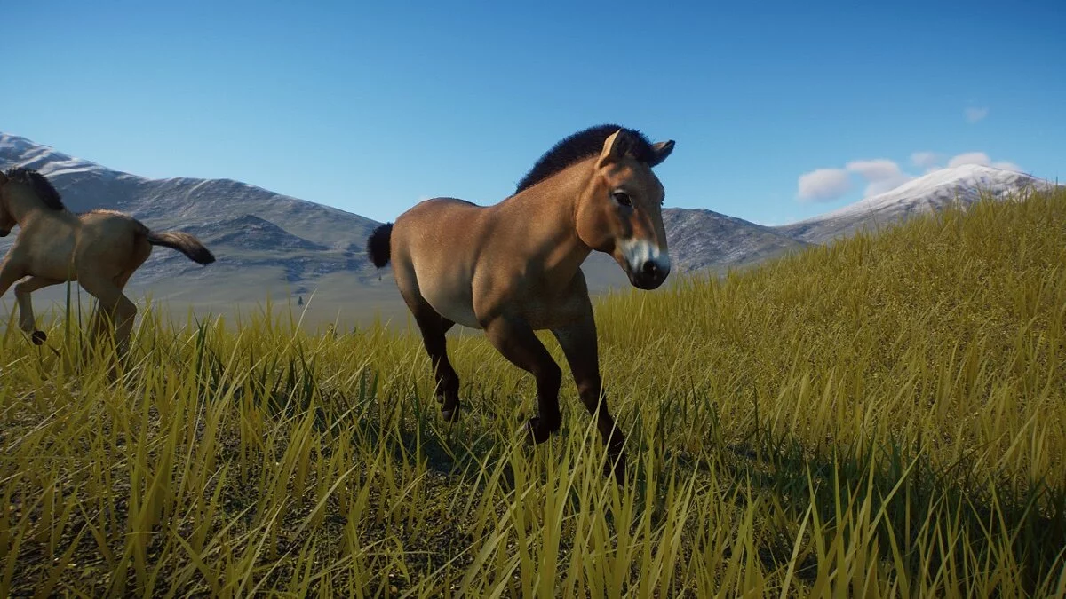 Planet Zoo — Ремейк лошади Пржевальского