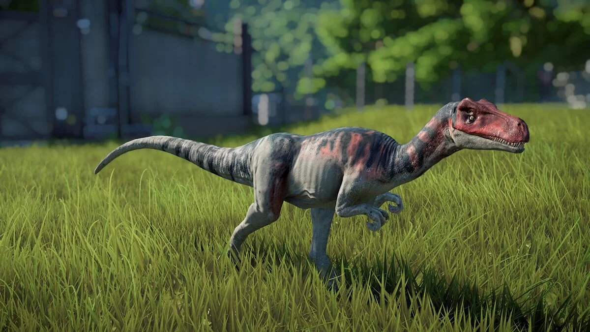 Jurassic World Evolution — Coelurus fragilis (новый вид)